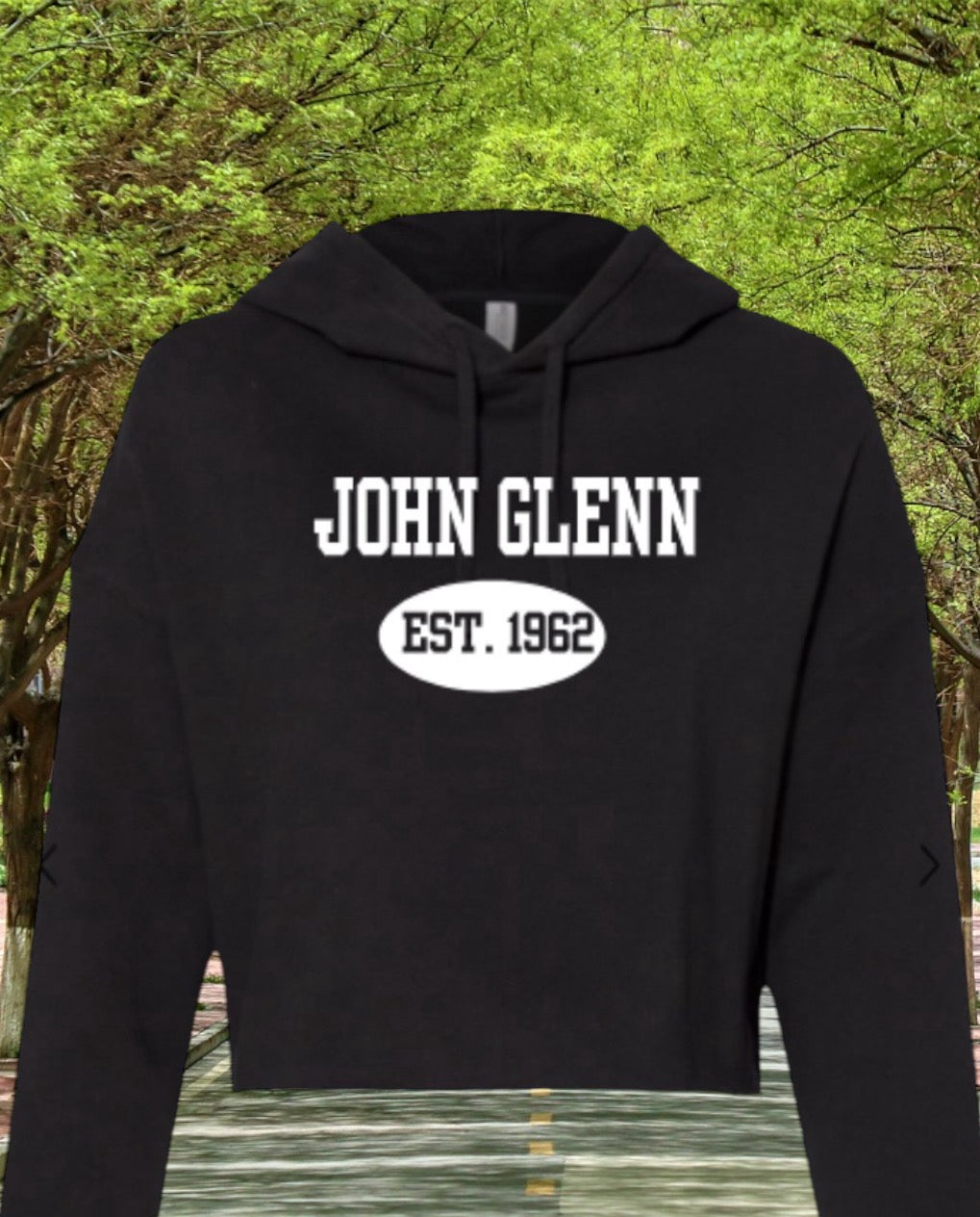 John Glenn Cropped Hoodie